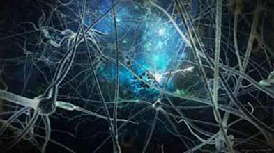 Narcissistic Abuse Recovery: Changing Neural Pathways for Lasting Healing