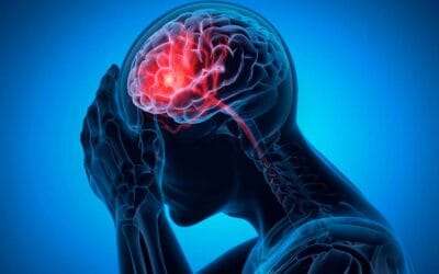 Narcissistic Abuse Therapy for Executives & Professionals